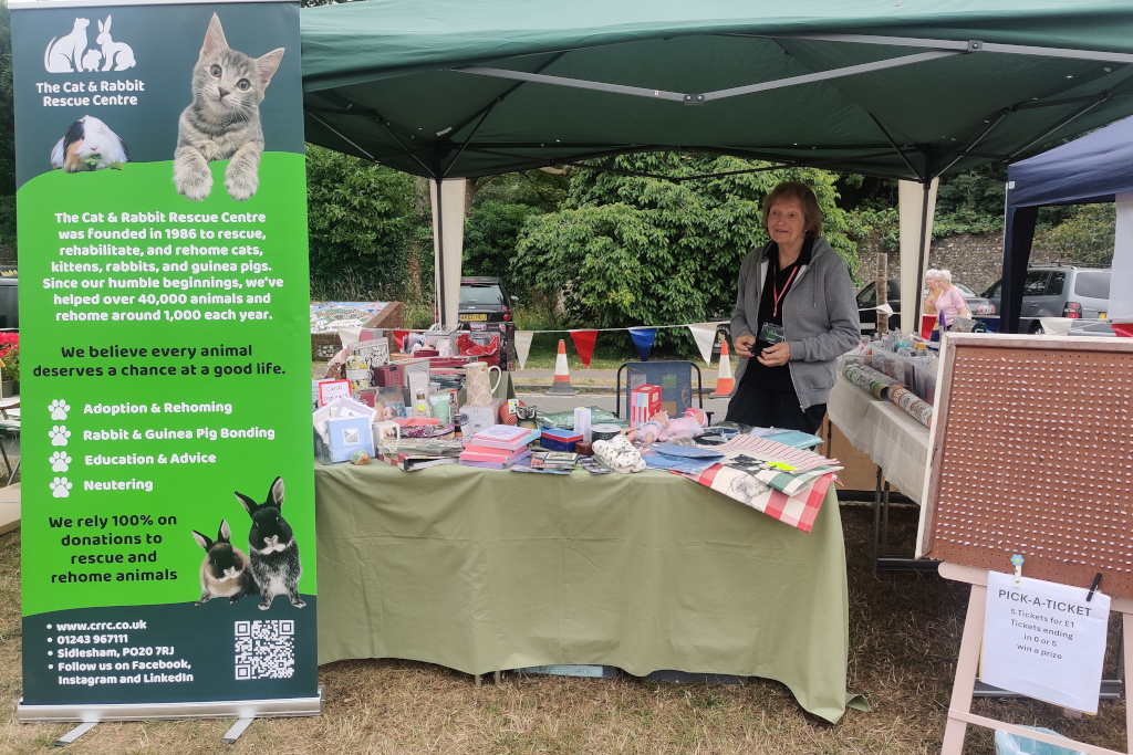 The Cat and Rabbit rescue centre