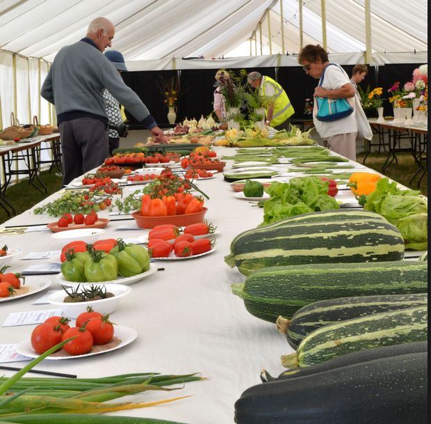 Horticultural show tomatoes and marrows